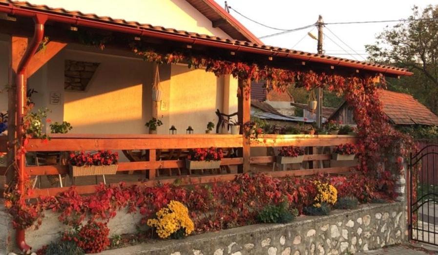 Casa De Vacanta Casă la țară Potoc