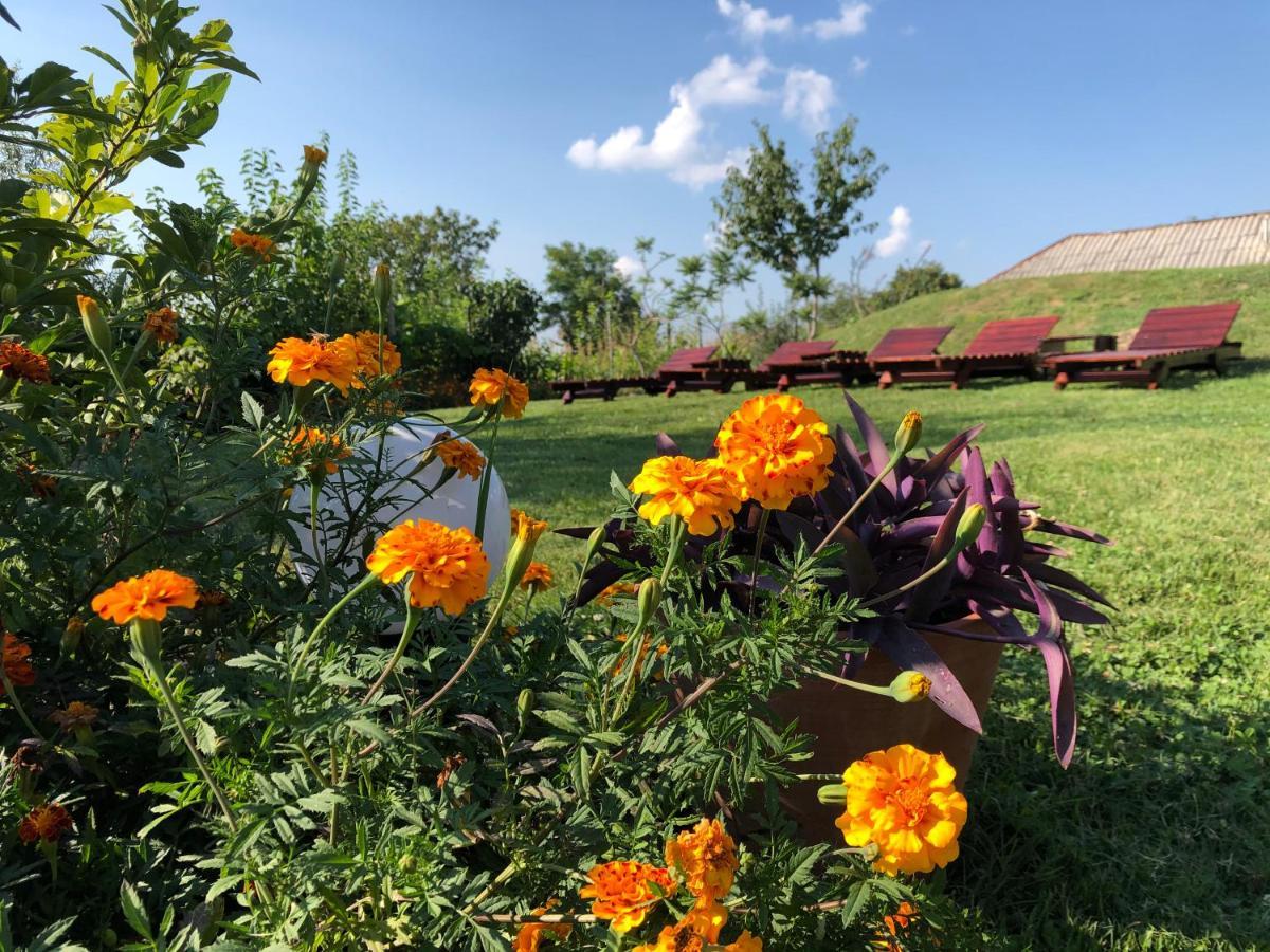 Casa De Vacanta Casă la țară Potoc