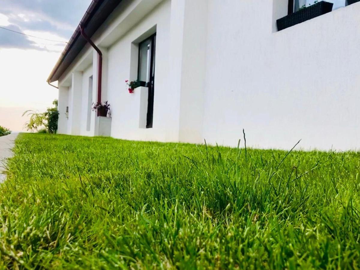 Casă la țară Casa De Vacanta